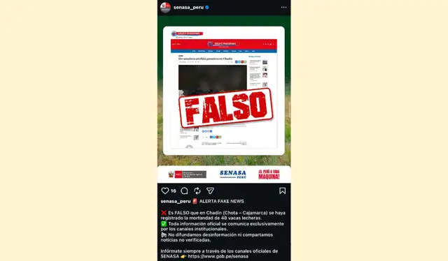 Aviso del SENASA en Instagram ante la viralización de la mortandad de 48 vacas en Cajamarca. | Foto: Instagram   