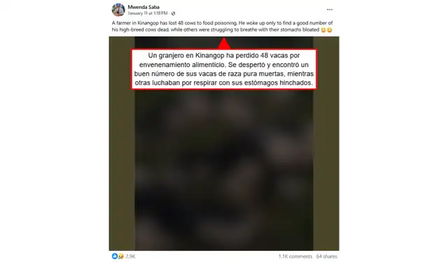 Contenido compartido por Mwenda Saba vía Facebook (traducido al español). | Foto: Mwenda Saba   