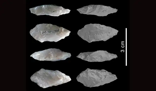 Las herramientas de piedra datan de entre 160.000 y 72.000 años atrás en China. Foto: Jian-Ping Yue/IVPP Las herramientas de piedra datan de entre 160.000 y 72.000 años atrás en China. Foto: Jian-Ping Yue/IVPP