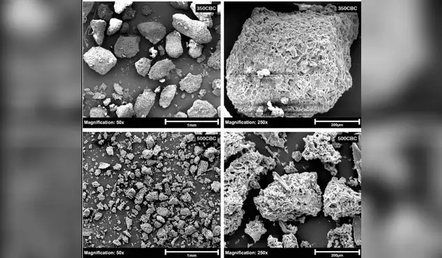 Imágenes de microscopio electrónico de barrido de las estructuras superficiales de los granos de café pirolizados. Foto: Science Direct   