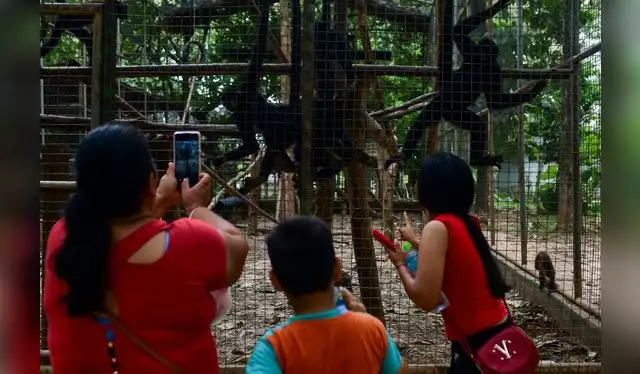 Hugo Del Águila apunta ahora a convertir el parque en una Unidad Ejecutora, lo que le permitiría mayor autonomía para administrar recursos y agilizar la compra de alimentos y medicinas. Foto: GORE Ucayali.   