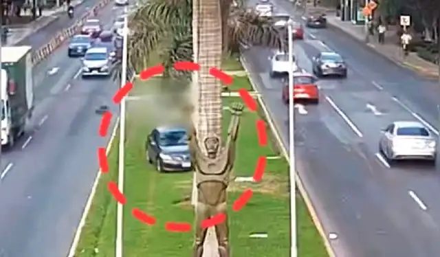  Padre de joven atropellado pide apoyo porque los gastos para el tratamiento son muy elevados. Foto: composición LR/ Latina   