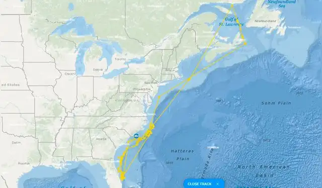  La trayectoria de Contender en las costas estadounidenses. Foto: OCEARCH   