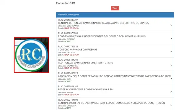 La entidad Rondas Campesinas no aparece en el registro de búsqueda RUC de la Sunat. | Foto: Sunat   
