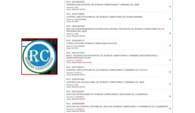 La entidad Rondas Campesinas no aparece en el registro de búsqueda RUC de la Sunat. | Foto: Sunat   
