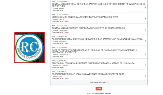 La entidad Rondas Campesinas no aparece en el registro de búsqueda RUC de la Sunat. | Foto: Sunat   