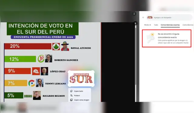 Resultados de búsqueda inversa de ‘Encuestas Sur’. | Foto: Búsqueda inversa de Google   