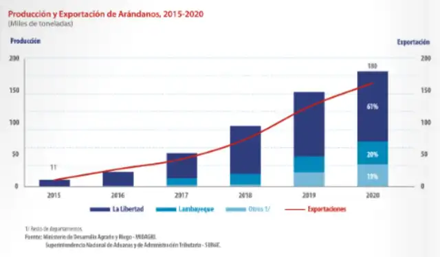 Producción y exportación de arándanos (2015-2020). | Foto: MIDAGRI   