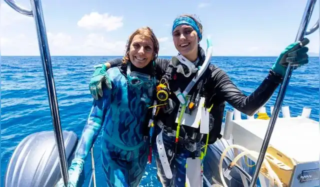 Jan Pope y Sophie Kalkowski-Pope practicaban buceo recreativo cuando hicieron el descubrimiento. Foto: Citizens of the Reef Jan Pope y Sophie Kalkowski-Pope practicaban buceo recreativo cuando hicieron el descubrimiento. Foto: Citizens of the Reef