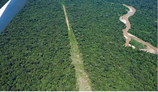  Pista de aterrizaje del narcotráfico en reserva indígena kakataibo. Foto: Aidesep<br><br>   