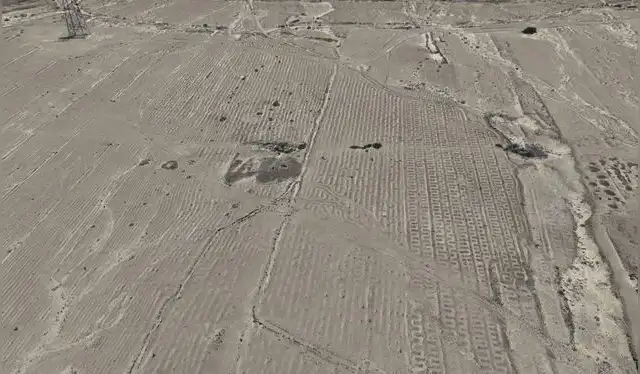  Los campos de cultivo están conformados por canales. Foto: Carito Tavera / Programa Arqueológico Chicama     