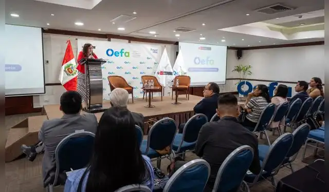  Romina Caminada, viceministra de Gestión Ambiental del Minam. Foto: OEFA.   