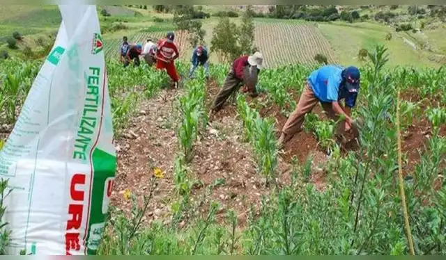 Alza en precios de fertilizantes golpea precios de alimentos. Foto: Andina   