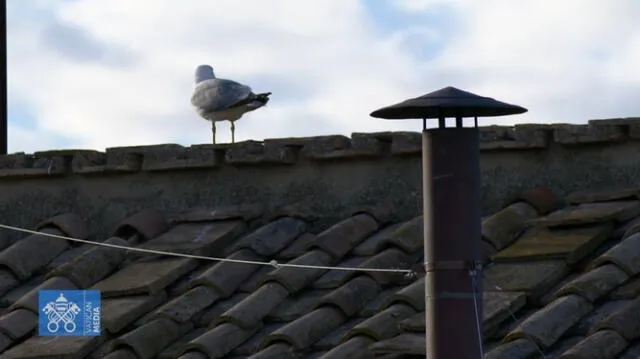 When a new pope is elected after the conclave, white smoke will emerge. Photo: Vatican News When a new pope is elected after the conclave, white smoke will emerge. Photo: Vatican News