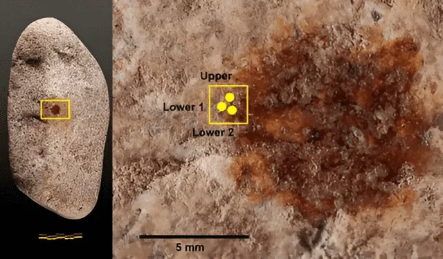 The canvas simulates the face of a Neanderthal with reliefs on the pebble and a red dot on the nose. Photo: BBC    