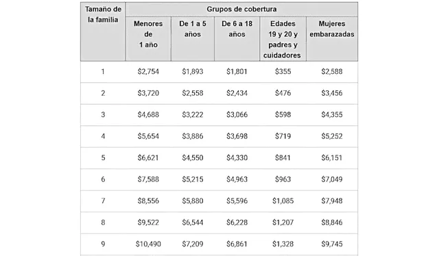 The Medicaid table shows age criteria within families in Florida. Photo: LA NACION   