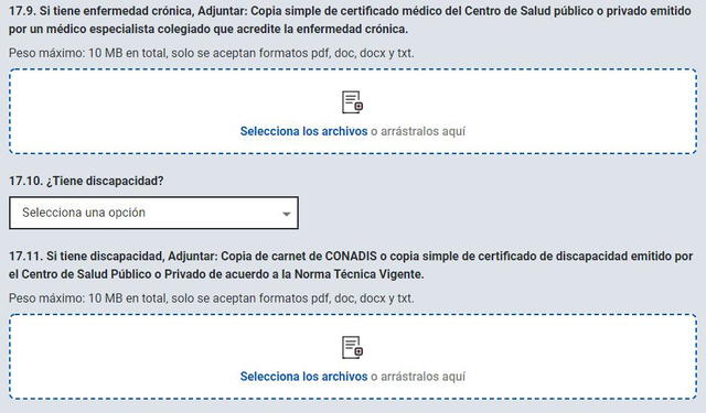 Documentos que deben adjuntar. Foto: Gobierno del Perú