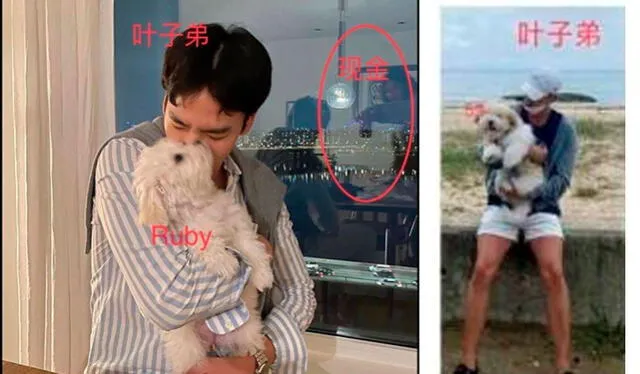 El hermano de un miembro del staff de Song Hye Kyo, sería quien aparece paseando a la mascota de la actriz. Crédito: QQ