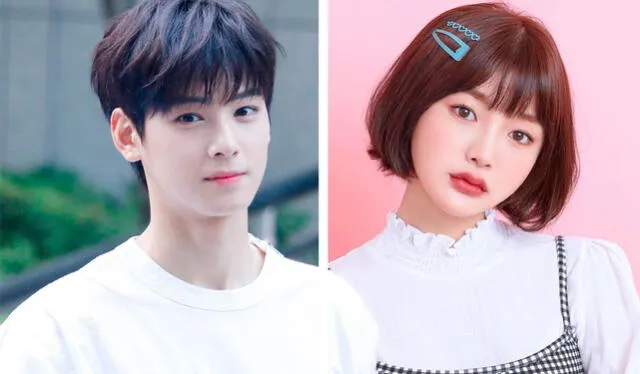 El portal coreano Insight propusó a Cha Eun Woo y  Park Shi An como candidatos a protagonizar el remake de “A Love So Beautiful”. Crédito: Instagram