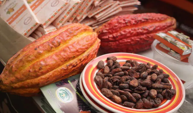  Cacao peruano fue el más premiado en concurso de chocolate en París durante el 2022. Foto: La República<br><br>    