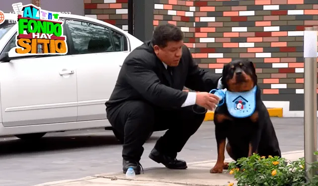  Benito con su perro Maldito en Las Lomas. Foto: composición LR/captura de América TV   