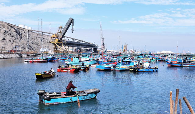  Se permitirá que pescadores artesanales operen dentro de las primeras cinco millas marítimas. Foto: difusión   