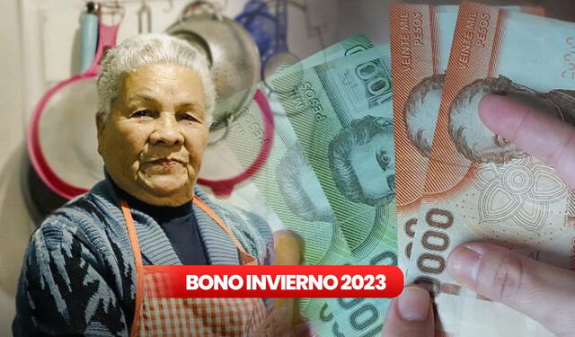 Con el Bono Invierno, los beneficiarios recibirán un monto único de $120. Foto: Gobierno de Chile/composición LR   