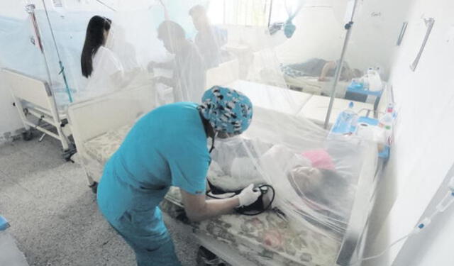  Crisis. La epidemia de dengue está lejos de ser controlada en el norte. Enfermedad pone en riesgo a personas vulnerables. Foto: difusión   