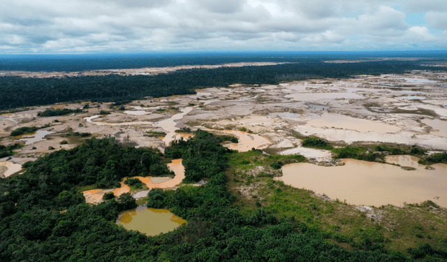 Deforestación. Inmensas cantidades de bosques han sido afectadas por la minería ilegal. Foto: Antonio Melgarejo/La República   