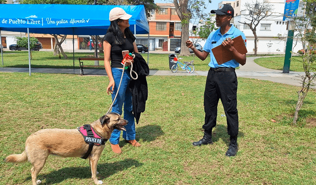 Participan todas las mascotas a partir de los 5 meses de nacidos. Foto: Municipalidad de Pueblo Libre   