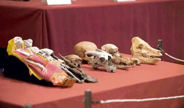  Detalle. Muñecos con telas tenían como destino México. Foto: difusión   