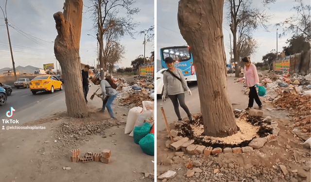  Las personas se suman a realizar estas labores comunitarias por el bien de los árboles. Foto: Jardines Meyips/Instagram   