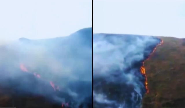 El incendio forestal se habría extendido a dos cerros, causando estragos en 800 hectáreas. Foto: captura Canal N   