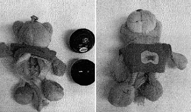 El peluche fue primordial a la hora de sacar pruebas. Foto: composición LR/ABC El peluche fue primordial a la hora de sacar pruebas. Foto: composición LR/ABC