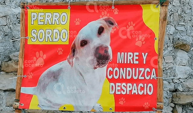 Cerca del edificio de la comisaría se aprecia un cartel con la imagen del perro que pide precaución al momento de circular por la zona. Foto: captura de Facebook