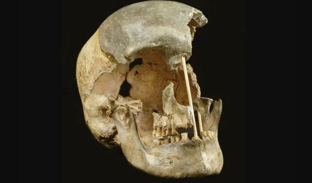 El cráneo de una mujer que vivió hace unos 45.000 años en República Checa. Foto: Nature