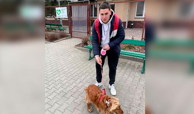 YouTube viral: joven ayuda a una familia ucraniana a encontrar un refugio para no abandonar a su perrita