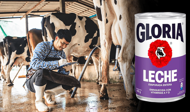 Las 5 regiones con mayor producción de leche son Cajamarca (17.2%), Lima (16.7%), Arequipa (16.4%), La Libertad (7.3%) y Puno (6.3%). Foto: Composición/ Andina