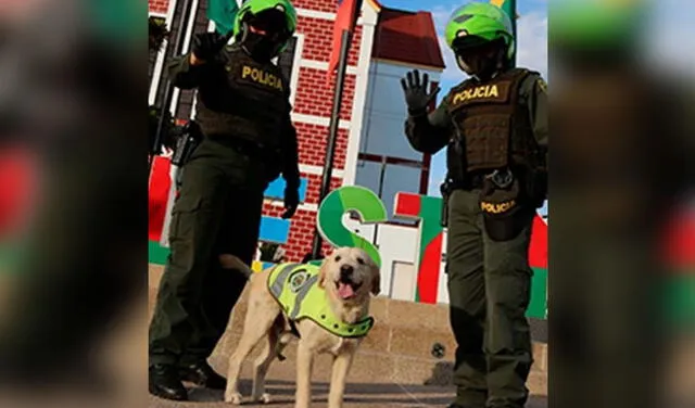 Este can se 'cambió de bando' y ahora ayuda a patrullar al zona donde antes delinquía. Foto: captura de Facebook