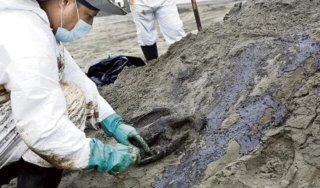 Intoxicadas. Cientos de aves y otras especies han muerto. Foto: Félix Contreras/La República