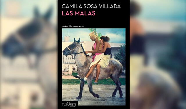 Camila Sosa, mujer transexual gana importante premio en la FIL por su novela “Las Malas”