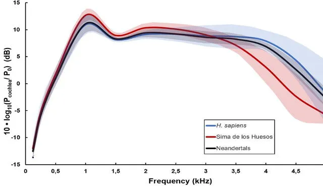 Los neandertales se parecen a más a los humanos modernos por su rango de frecuencia que contiene detalles acústicos asociados al registro humano de consonantes. Foto: Mercedes Conde-Valverde