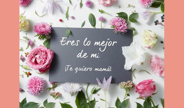 Imágenes y frases para el Día de la Madre. Foto: difusión