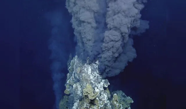 Respiradero hidrotermal. Foto: difusión