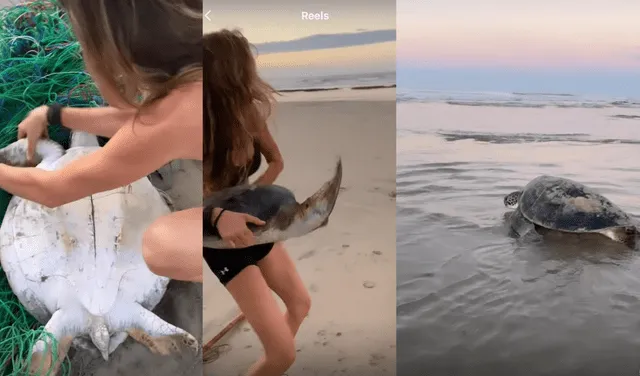 Gisele Bündchen salvó a una tortuga marina de morir estrangulada al quedar atrapada en un cúmulo de basura en la orilla de una playa de Brasil. Foto: Gisele Bündchen/Instagram.