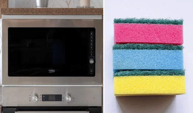 Un truco casero para desinfectar la esponja es colocarlo en el microondas. Foto: composición Pixabay