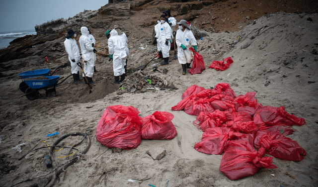 Empleados trabajan en la limpieza de la costa de playa Cavero, afectada por el derrame de petróleo que involucró al gigante energético español Repsol