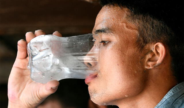 Beber agua y otros líquidos combatirá la deshidratación que acompaña a los síntomas. Foto: AFP