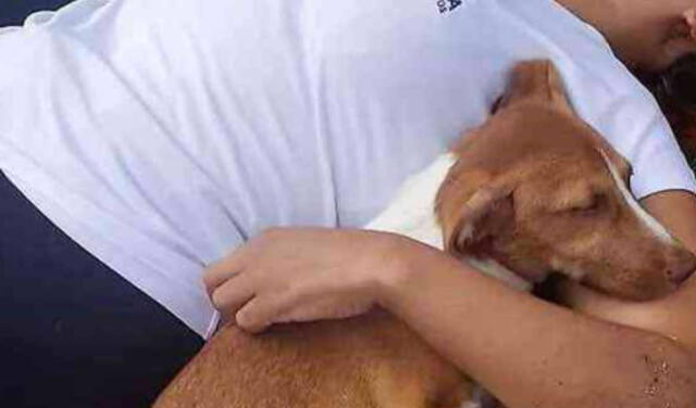La canina no se alejó en ningún momento de la joven que salvó su vida. Foto: captura de Facebook