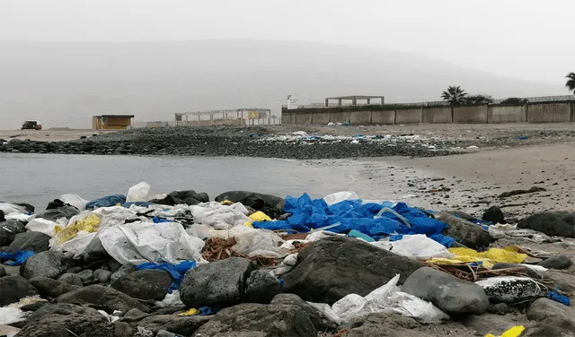 contaminación en playas